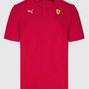 Polo Ferrari Equipo